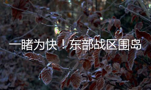 一睹為快！東部戰區圍島演習完整視頻曝光