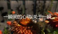 一瞬間的心動(關于一瞬間的心動簡述)