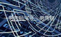 一男兩制(關于一男兩制簡述)
