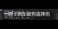 一男子騎車被狗追摔傷 狗主人擔責80%