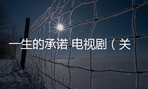一生的承諾 電視劇（關(guān)于一生的承諾 電視劇的基本情況說明介紹）