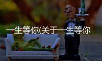 一生等你(關于一生等你簡述)