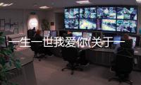 一生一世我愛(ài)你(關(guān)于一生一世我愛(ài)你簡(jiǎn)述)