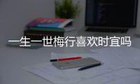 一生一世梅行喜歡時宜嗎？一生一世劉子行轉(zhuǎn)世后最愛的人是誰