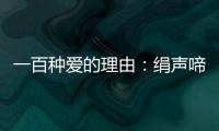 一百種愛的理由：絹聲啼夢(關于一百種愛的理由：絹聲啼夢簡述)