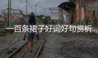 一百條裙子好詞好句賞析摘抄（一百條裙子好詞好句）