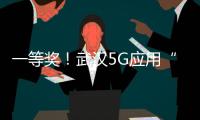 一等獎！武漢5G應用“綻放”全國大賽