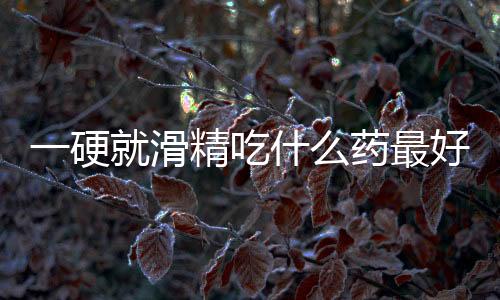 一硬就滑精吃什么藥最好(一硬就滑精吃什么藥最好)