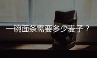 一碗面條需要多少麥子？觀察“糧頭食尾”的奇妙旅程