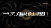 一站式了解馬鞍山鼎植口腔價(jià)格清單:全國連鎖機(jī)構(gòu)種牙矯正價(jià)格實(shí)惠看得見