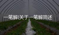 一筆解(關于一筆解簡述)