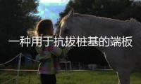 一種用于抗拔樁基的端板(關(guān)于一種用于抗拔樁基的端板簡(jiǎn)述)