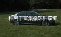 一種用于富集循環腫瘤細胞的螺旋微流控芯片設計
