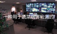 一種用于蔬菜病害檢測的電子鼻的設計