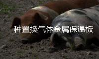 一種置換氣體金屬保溫板(關于一種置換氣體金屬保溫板簡述)