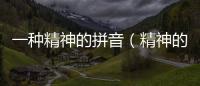 一種精神的拼音（精神的拼音）