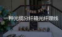 一種光纜分纖箱光纖理線盒(關(guān)于一種光纜分纖箱光纖理線盒簡(jiǎn)述)