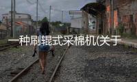一種刷輥式采棉機(關于一種刷輥式采棉機簡述)