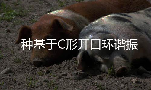 一種基于C形開口環諧振器的相位不連續超構表面