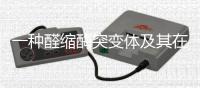 一種醛縮酶突變體及其在生產1,3