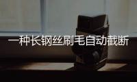 一種長鋼絲刷毛自動截斷裝置(關于一種長鋼絲刷毛自動截斷裝置簡述)