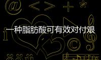 一種脂肪酸可有效對付艱難梭菌