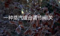 一種蒸汽組合調節閥(關于一種蒸汽組合調節閥簡述)