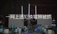 一網(wǎng)上逃犯換駕照被抓