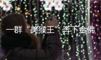 一群“美猴王”奔下金佛山！