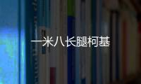 一米八長腿柯基