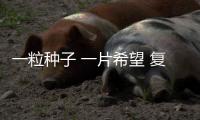 一粒種子 一片希望?復旦大學鐘揚教授基金捐贈人植樹活動舉行