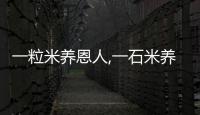 一粒米養(yǎng)恩人,一石米養(yǎng)仇人什么意思 一粒米養(yǎng)個(gè)恩人