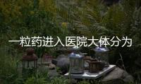 一粒藥進(jìn)入醫(yī)院大體分為5個(gè)步驟