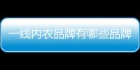 一線內衣品牌有哪些品牌（一線內衣品牌有哪些）
