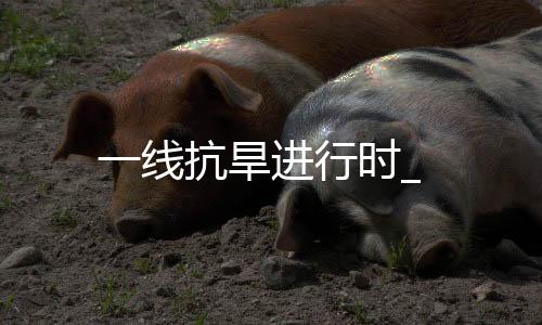 一線抗旱進行時_