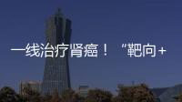 一線治療腎癌！“靶向+免疫”組合Lenvima+Keytruda在日本獲批