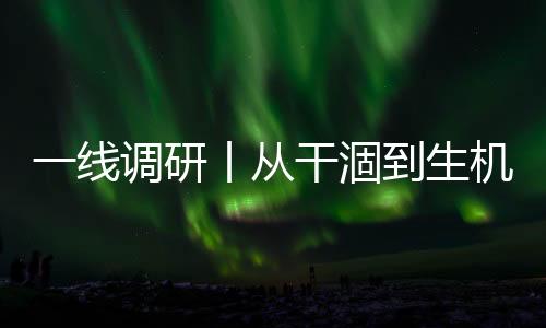 一線調研丨從干涸到生機 看大西海子水庫12年如何重塑生態