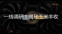一線調研丨揭秘玉米豐收背后的“科技密碼”