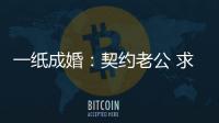 一紙成婚：契約老公 求放過(關(guān)于一紙成婚：契約老公 求放過簡述)