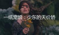 一紙寵婚：少東的天價嬌妻(關于一紙寵婚：少東的天價嬌妻簡述)