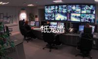 一紙寵婚