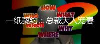 一紙契約：總裁大人寵妻成癮(關于一紙契約：總裁大人寵妻成癮簡述)
