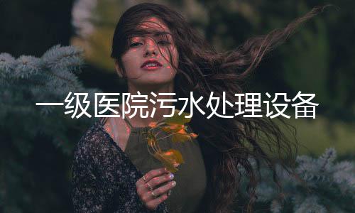 一級(jí)醫(yī)院污水處理設(shè)備