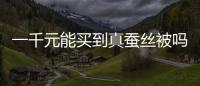 一千元能買到真蠶絲被嗎？真蠶絲被和假蠶絲被的區別