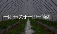 一即十(關于一即十簡述)