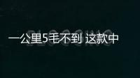 一公里5毛不到 這款中型車精英人士的選擇