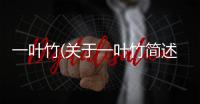 一葉竹(關于一葉竹簡述)