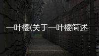 一葉櫻(關(guān)于一葉櫻簡述)
