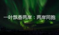一葉飄香兩岸：兩岸同胞蘇州吳中以茶會友促交流