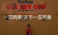 一雙兩美(關(guān)于一雙兩美簡述)